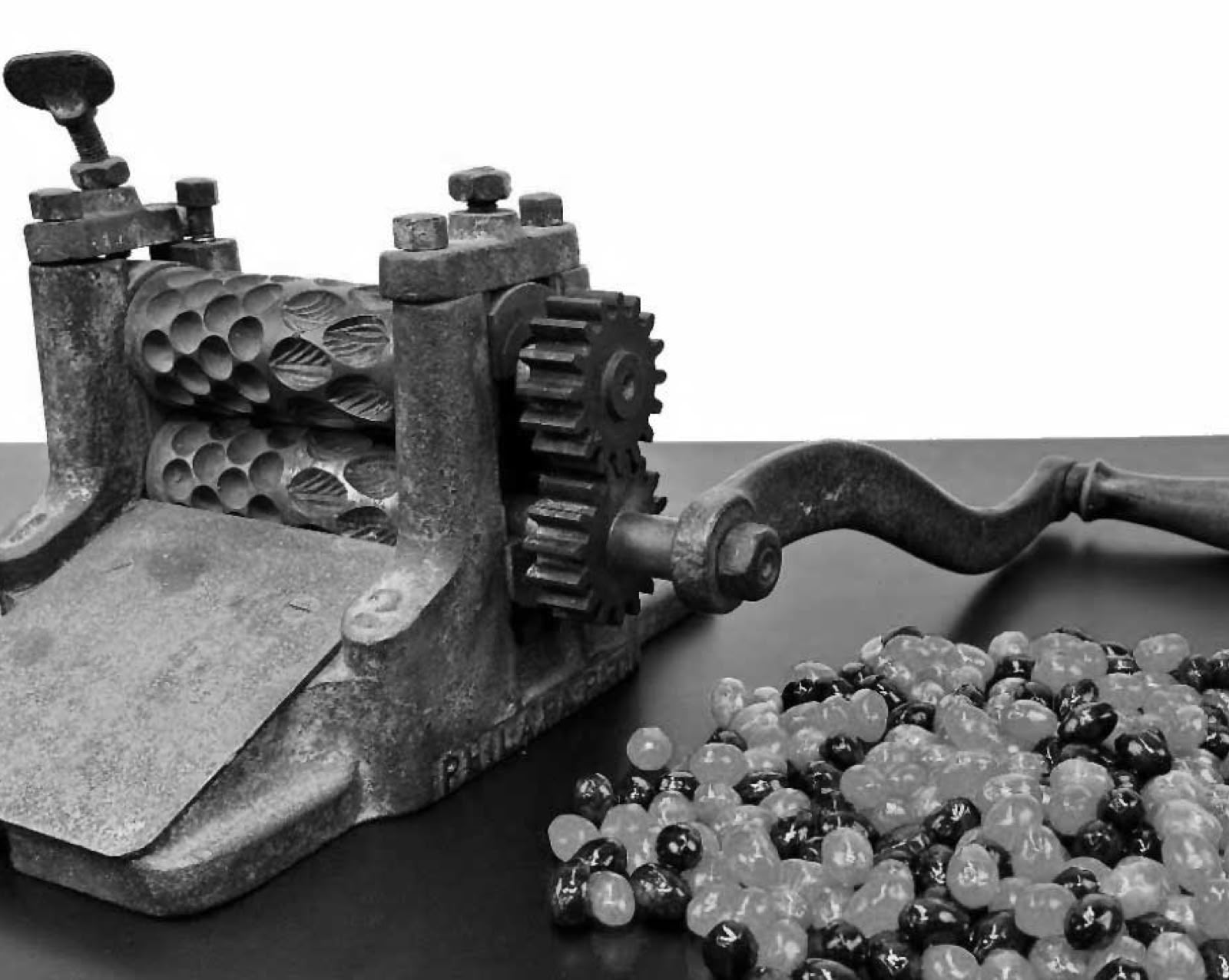 How NIB Chocolate Started